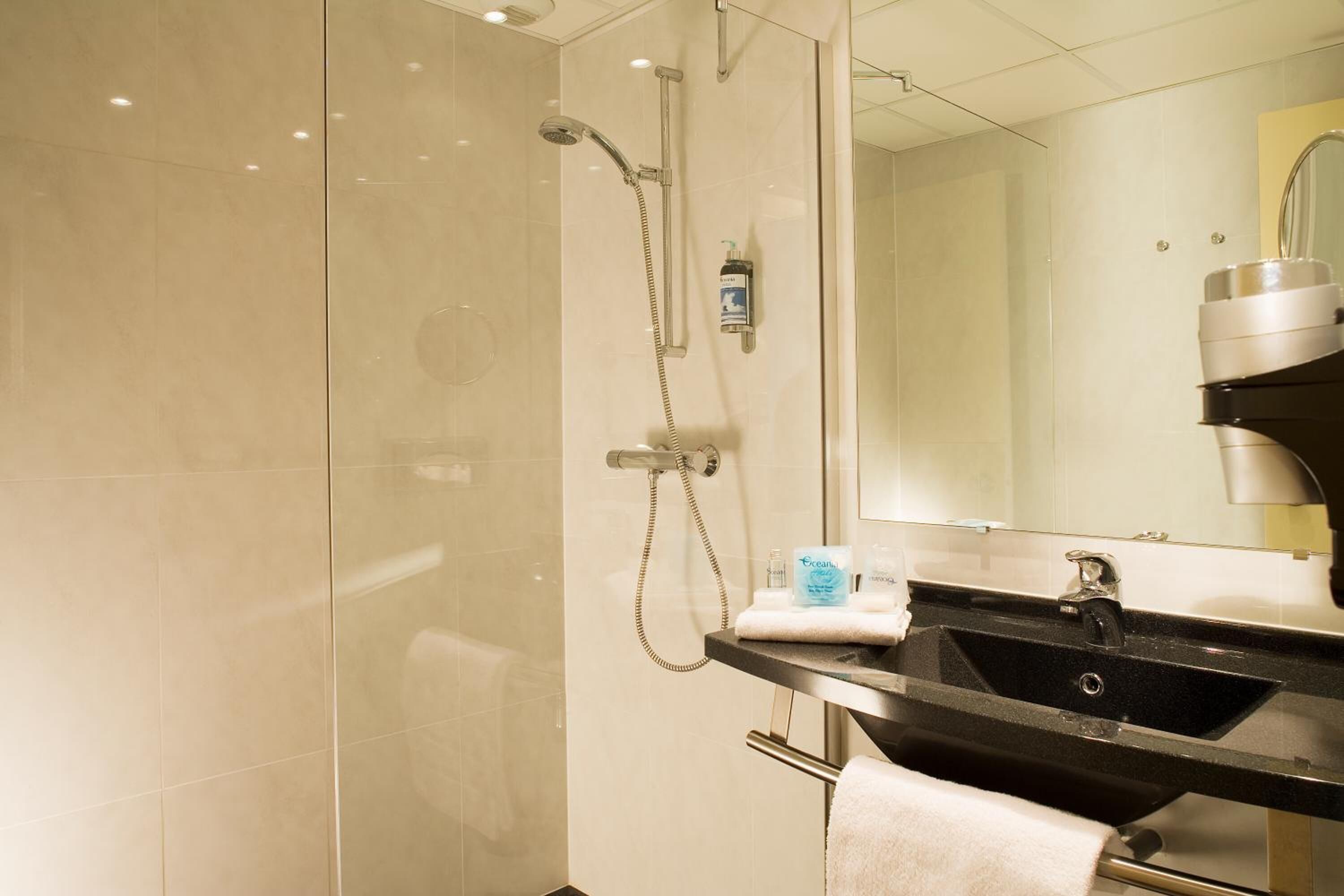 economy suite, 1 queen bed with sofa bed, garden view | bathroom | shower, free toiletries, hair dryer, towels