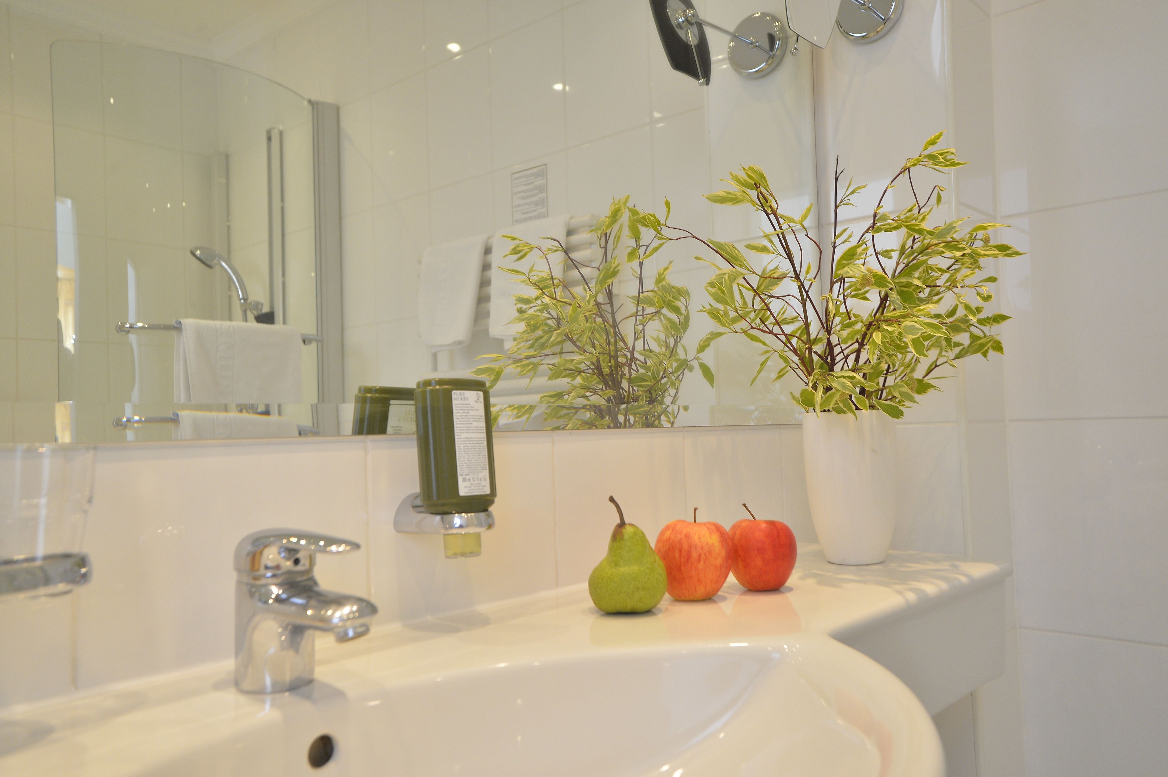 Ein Badezimmer mit Waschbecken, Spiegel und einer Topfpflanze mit zwei Äpfeln.