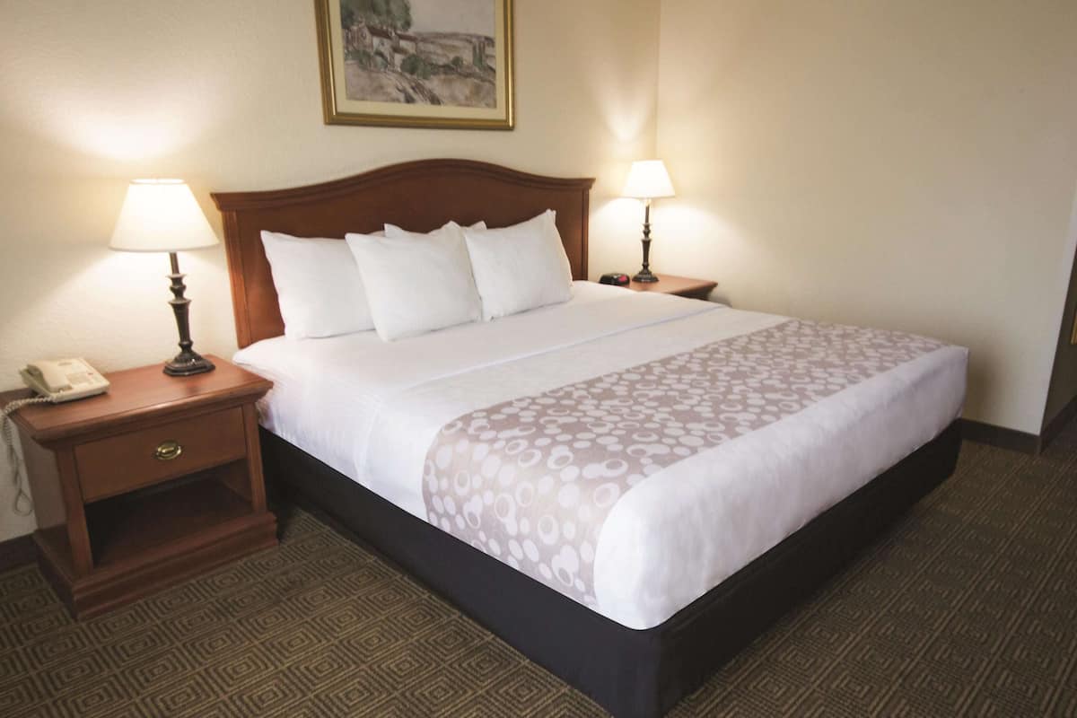 Room, 1 King Bed, Non Smoking, City View | Premium bedding, pillowtop beds, desk, laptop workspace