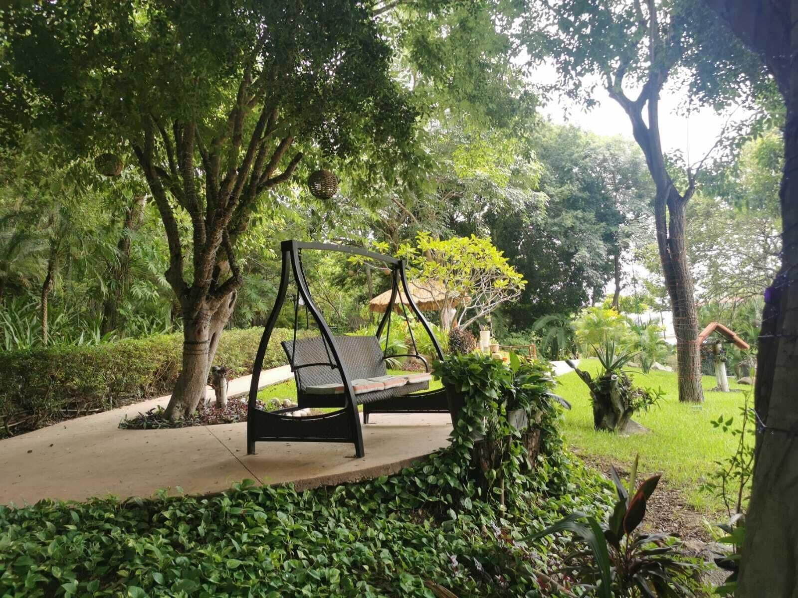 Un jardín con un columpio y un sendero.