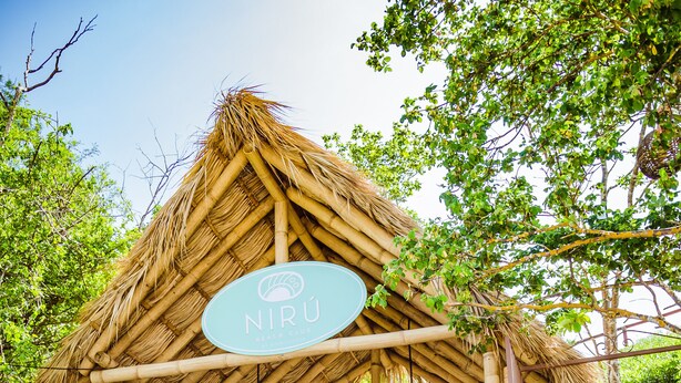 A bamboo structure with a sign reading "NIRU" surrounded by lush greenery and a wooden staircase.