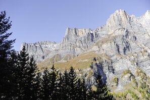Vue sur les montagnes