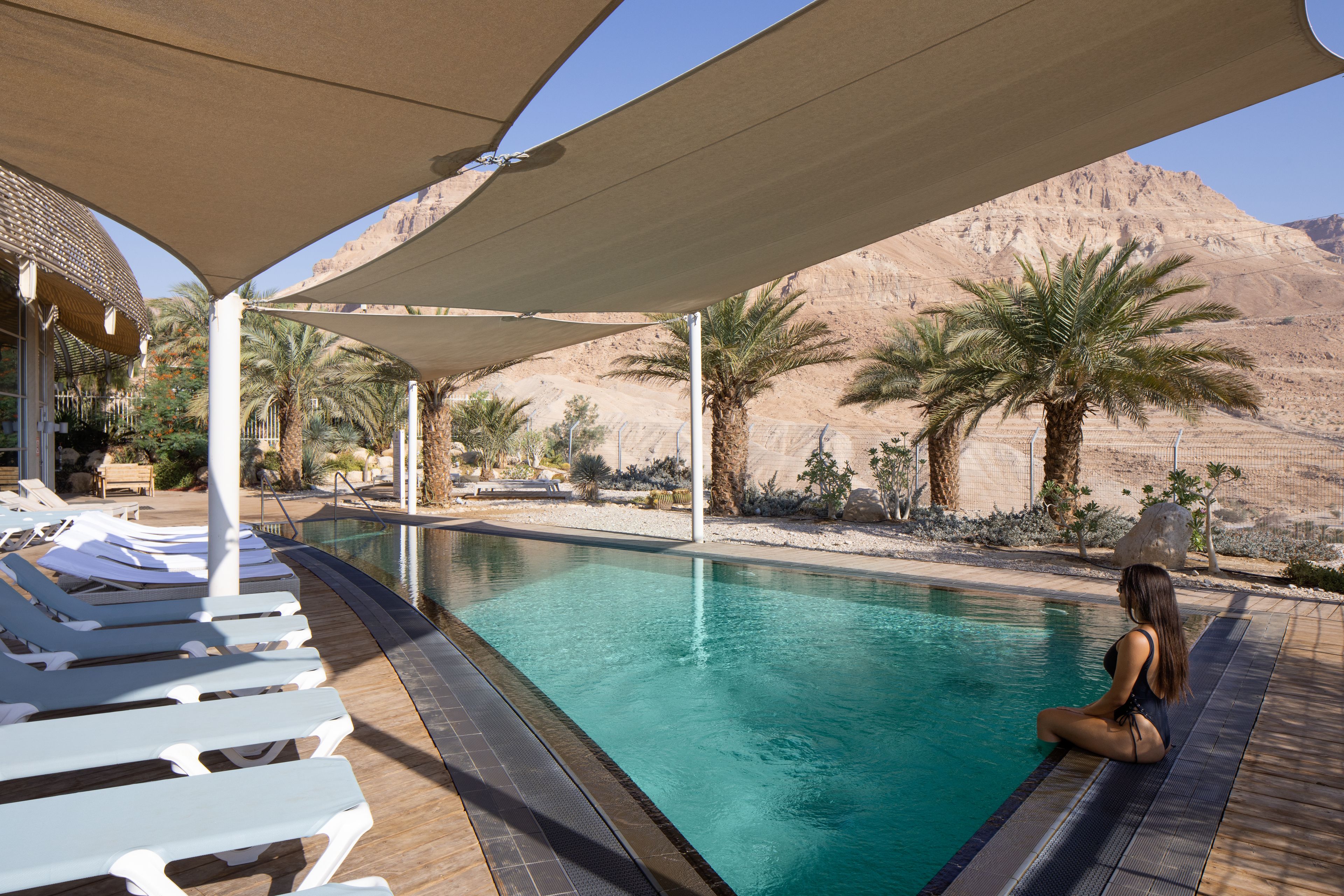 A pool area with lounge chairs and a palm tree.