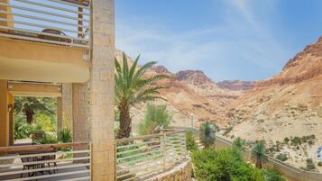 A balcony with a stone wall, palm trees, and a view of a desert landscape.