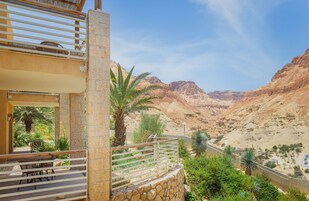 Un balcón con muro de piedra, palmeras y vista a paisaje desértico.