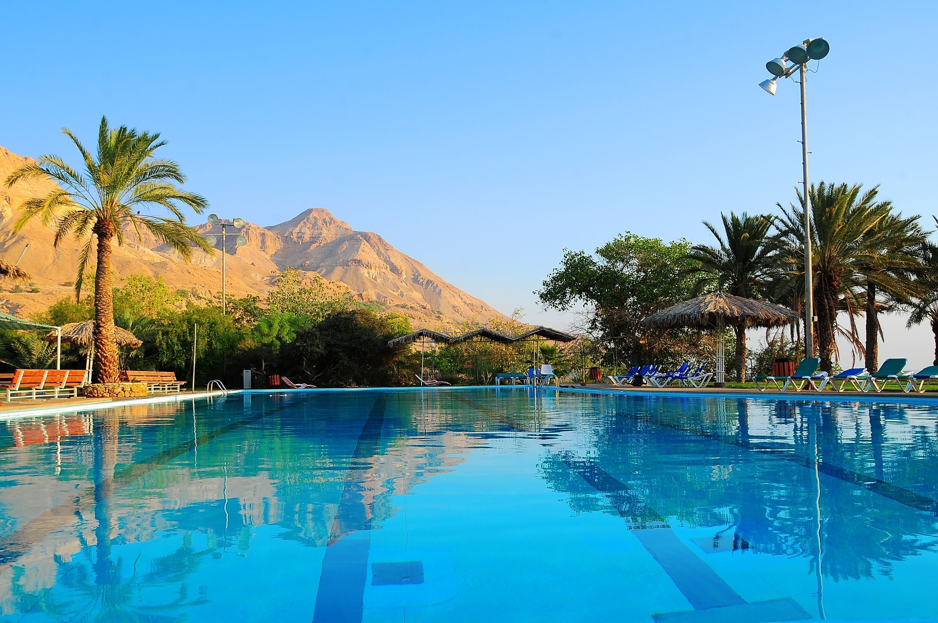 A swimming pool with lounge chairs and palm trees, set against a mountainous backdrop.