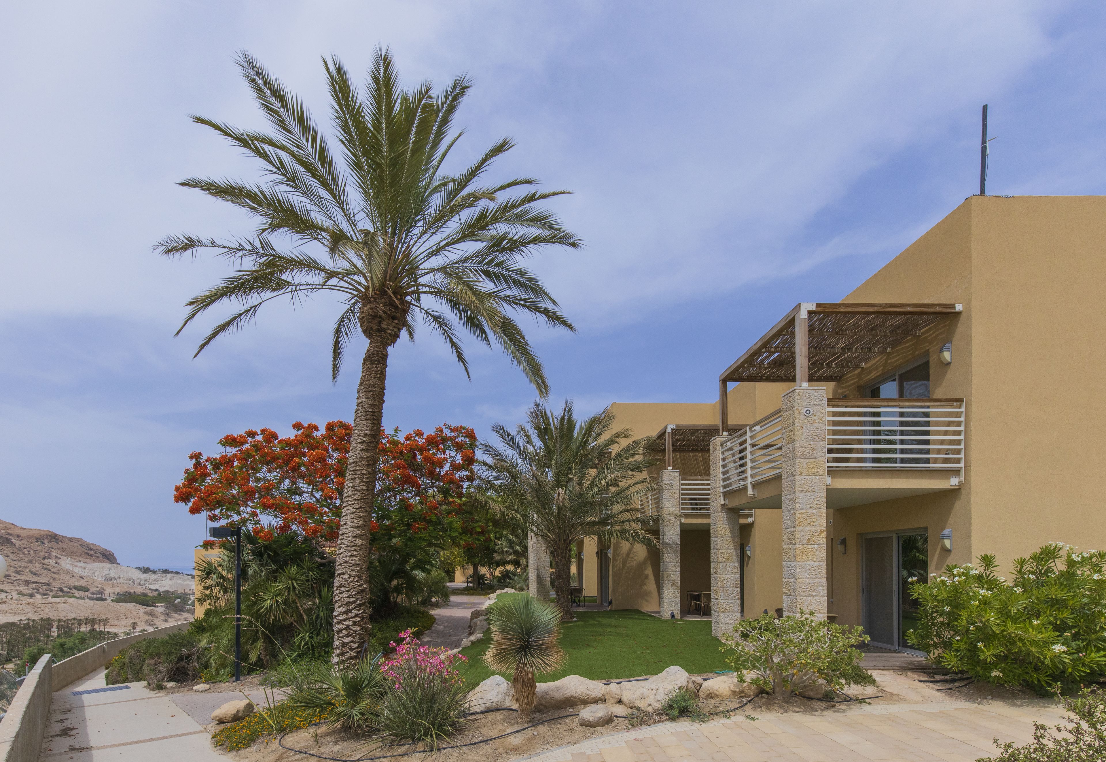 Deluxe Room, Terrace | In-room safe, desk, iron/ironing board, free WiFi