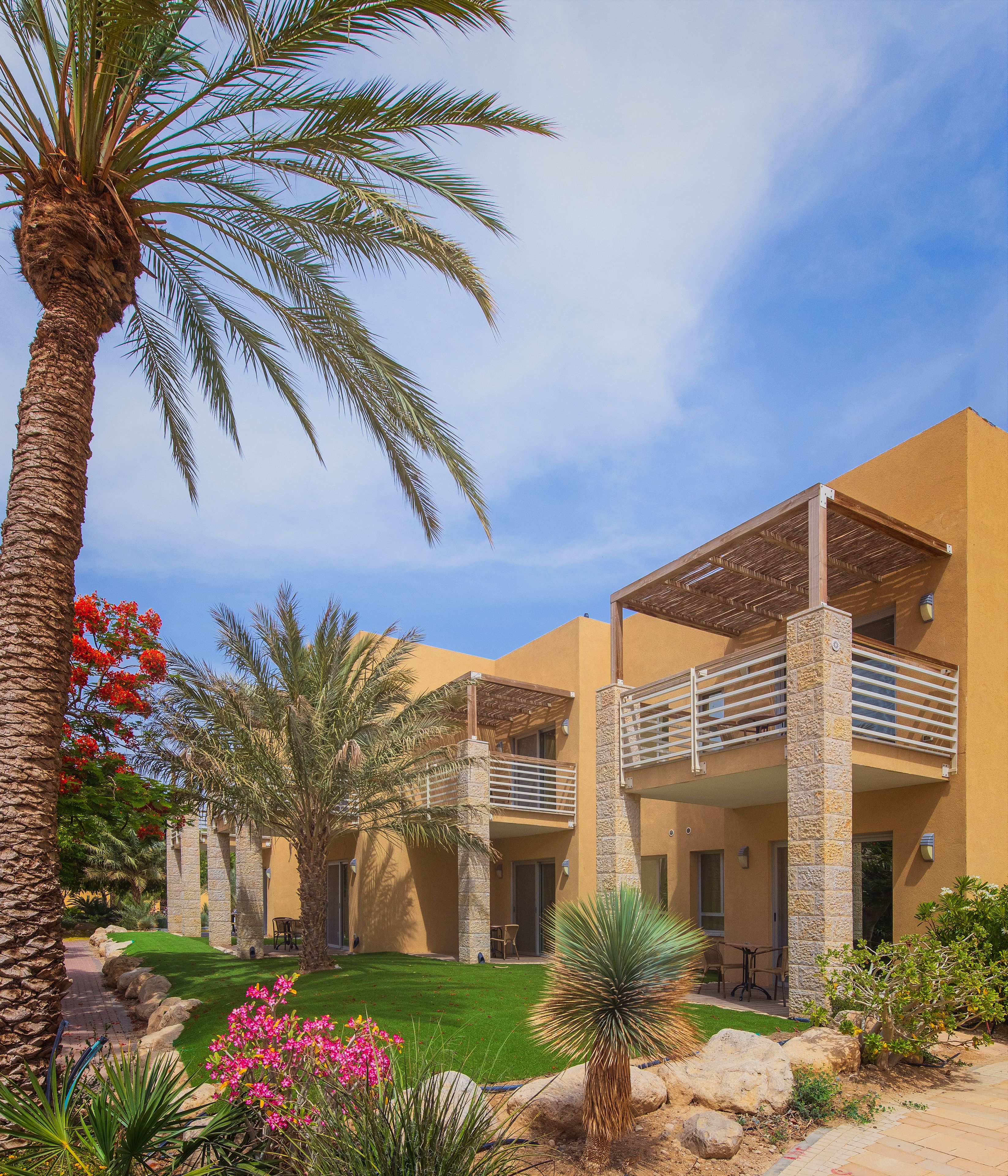 Deluxe Room, Terrace