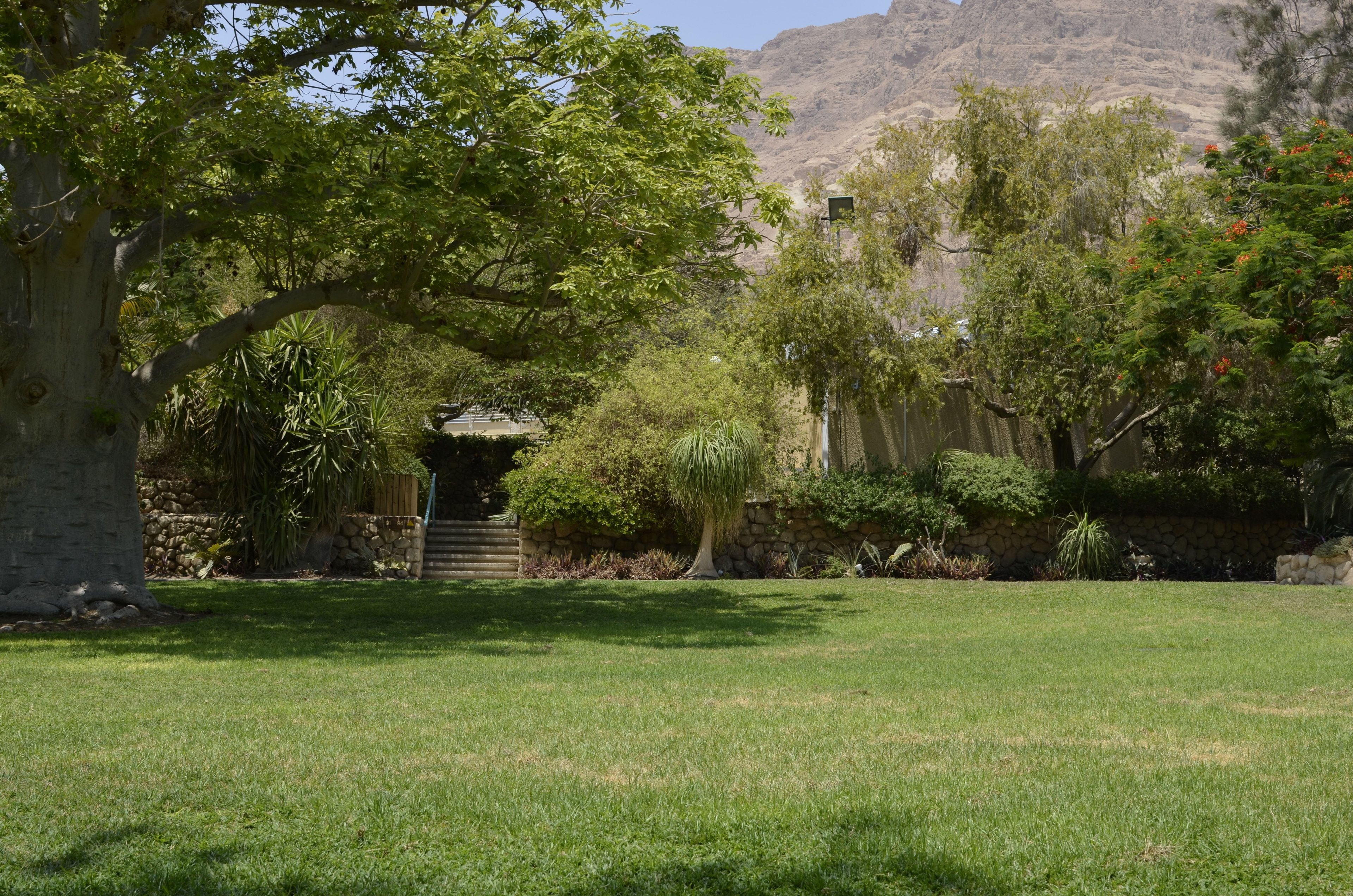 A well-maintained garden with a variety of trees and shrubs, a stone wall, and a small structure in the background.