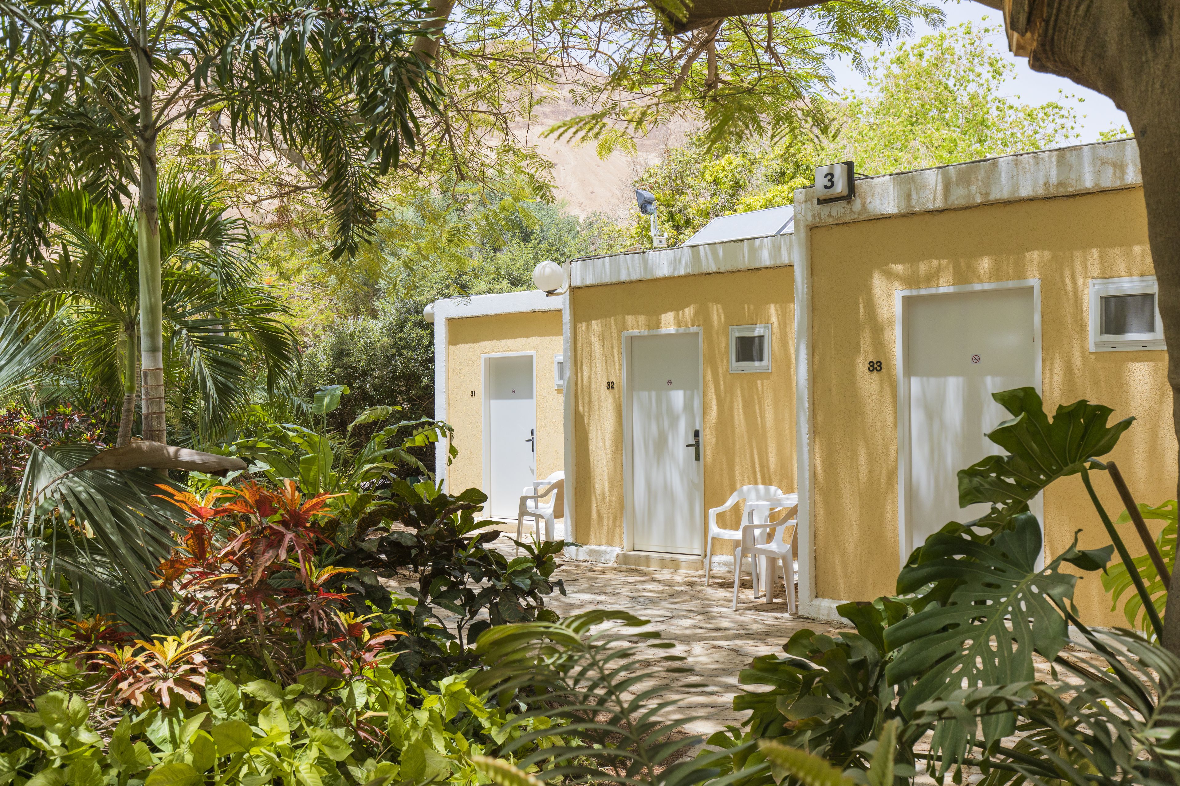 Un petit bâtiment jaune, doté de portes numérotées, entouré d’une végétation luxuriante et de plantes.