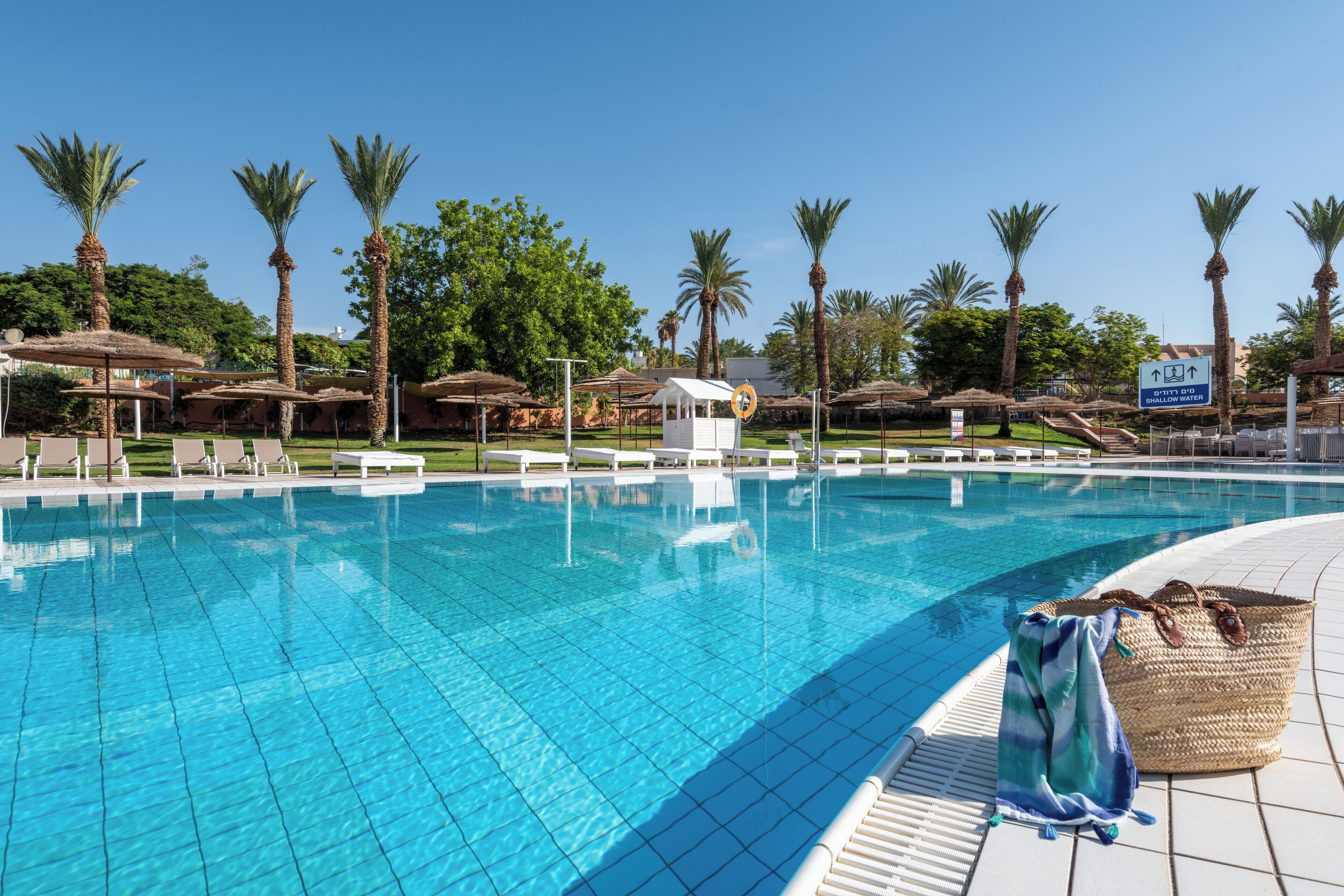 Una piscina techada, una piscina al aire libre, sombrillas