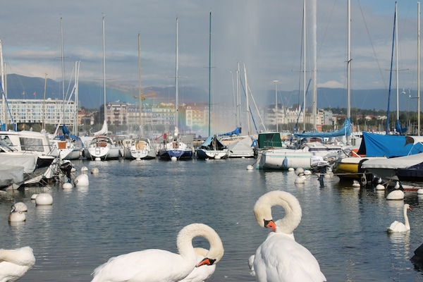 Vista desde la propiedad