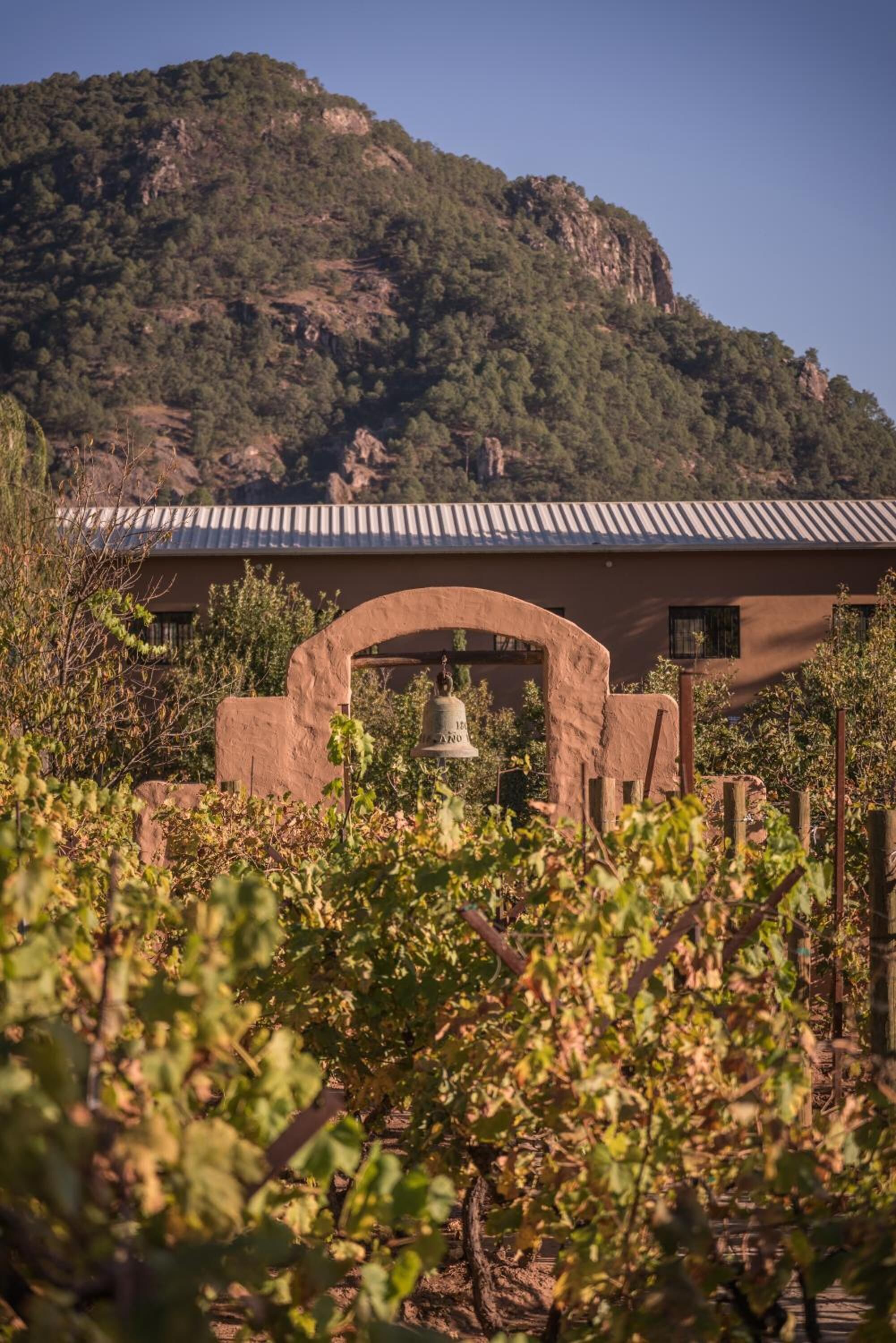 Viñedo con una torre de campanas y un edificio de techo metálico.