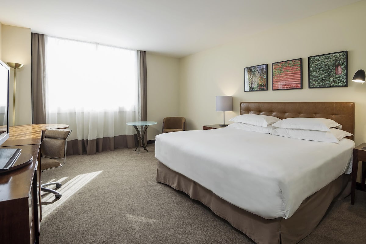 Superior kamer, 1 queensize bed | Een minibar, een kluis op de kamer, een bureau, een laptopwerkplek