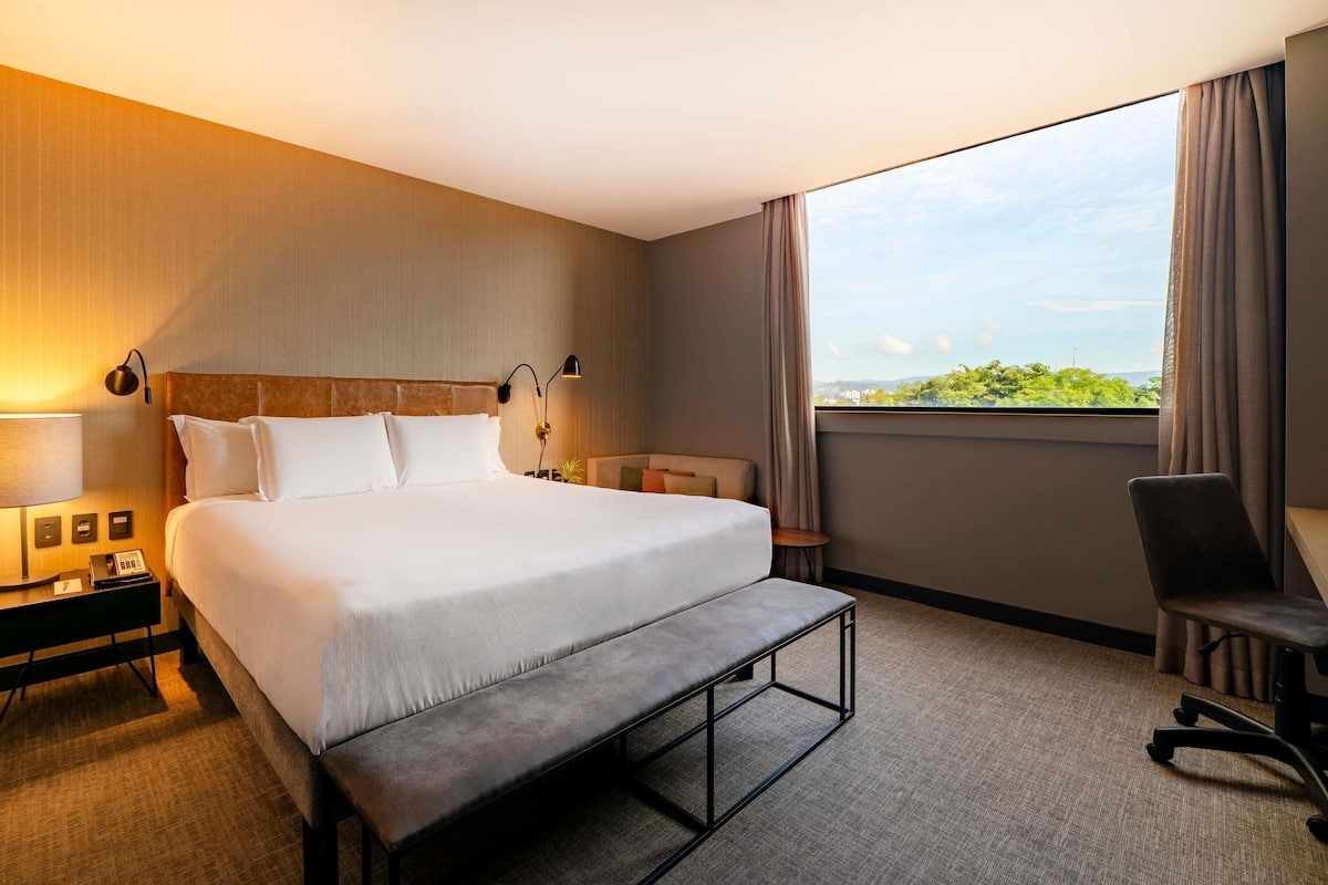 Habitación de lujo, 1 cama Queen size | Minibar, caja de seguridad en la habitación y escritorio