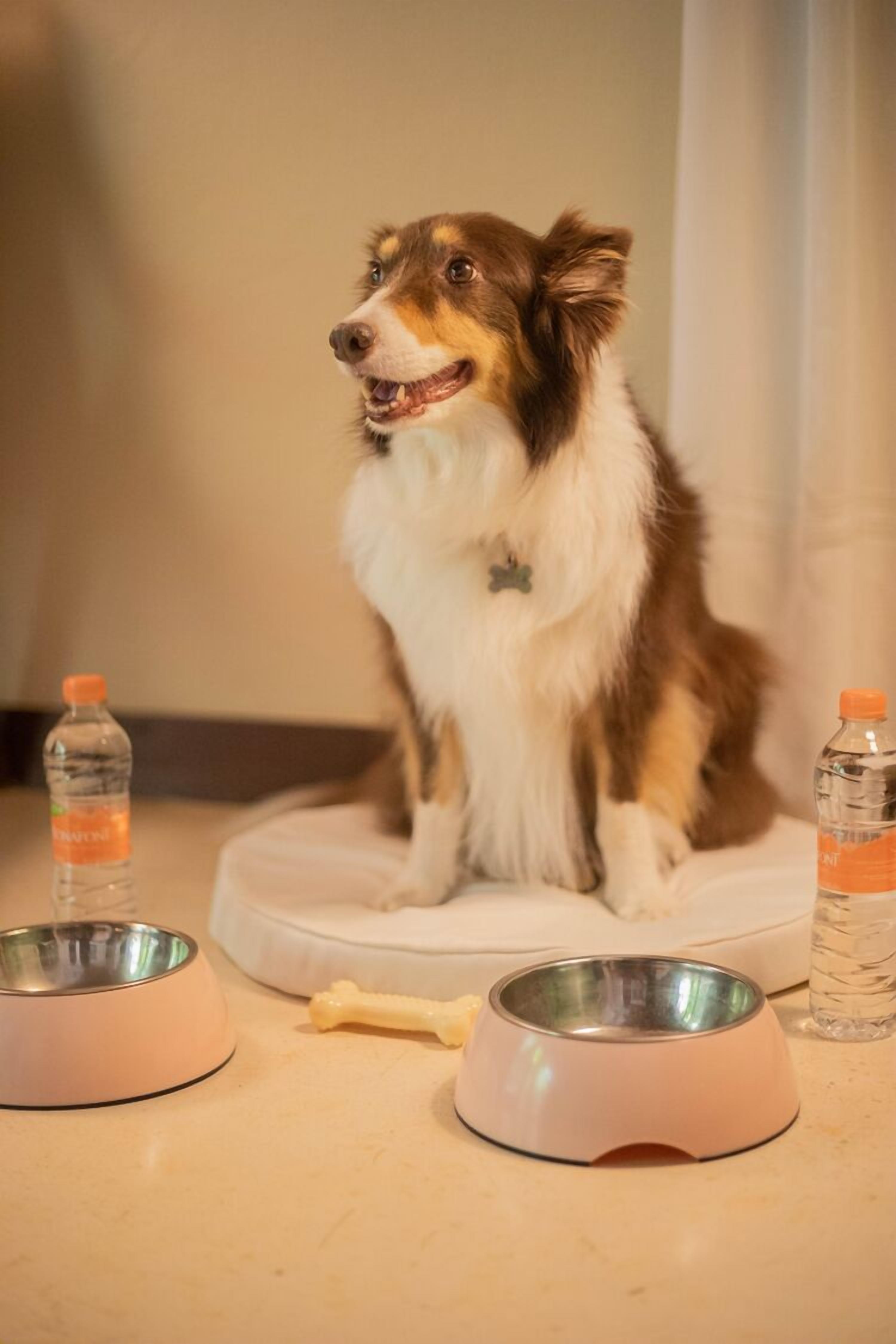 Foto - Viceroy Riviera Maya, a Luxury Villa Resort - Adults Only