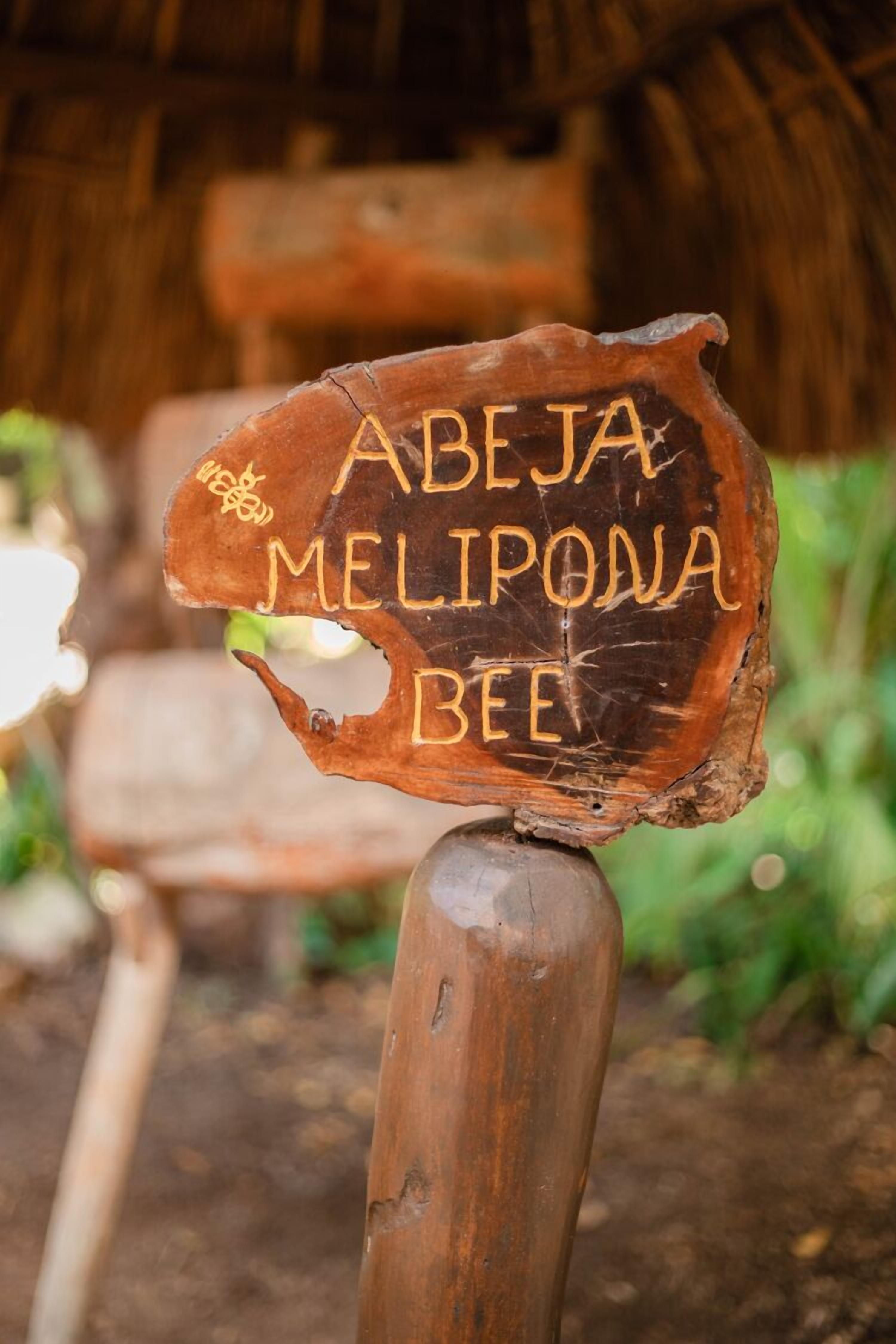 Foto - Viceroy Riviera Maya, a Luxury Villa Resort - Adults Only