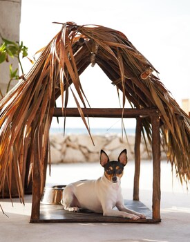 A woman relaxing on a sun lounger with a beach view, a palm tree, and a pier in the background. at Viceroy Riviera Maya, a Luxury Villa Resort - Adults Only