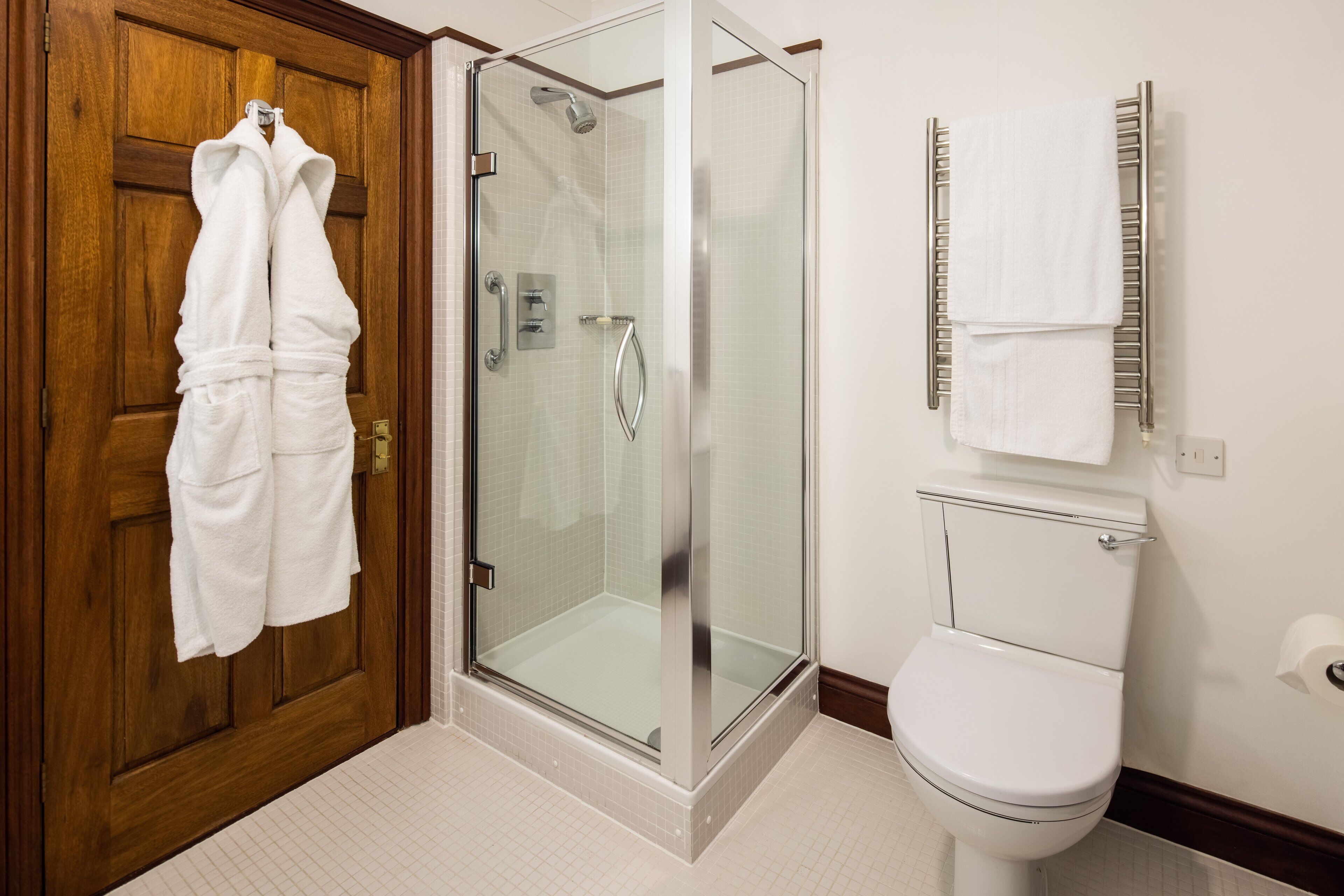 A bathroom with a glass-enclosed shower, a white toilet, and a wooden door.
