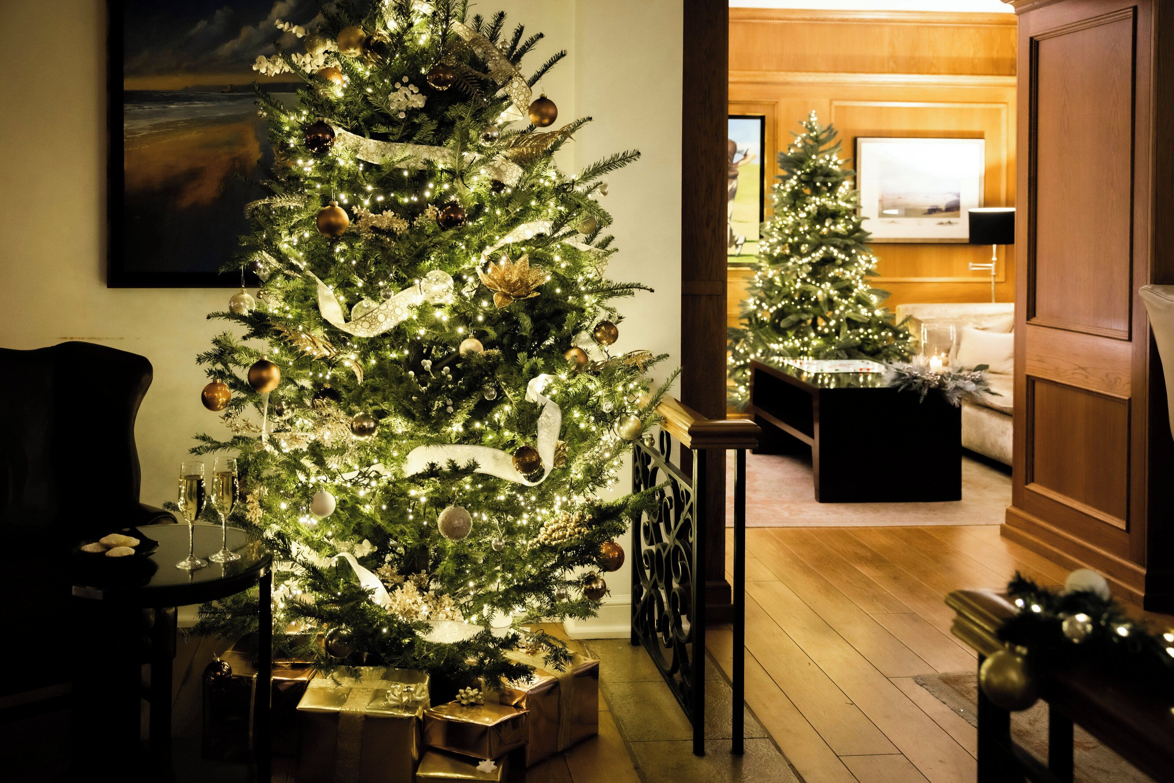 A well-lit living room with a large Christmas tree, a sofa, and a coffee table.