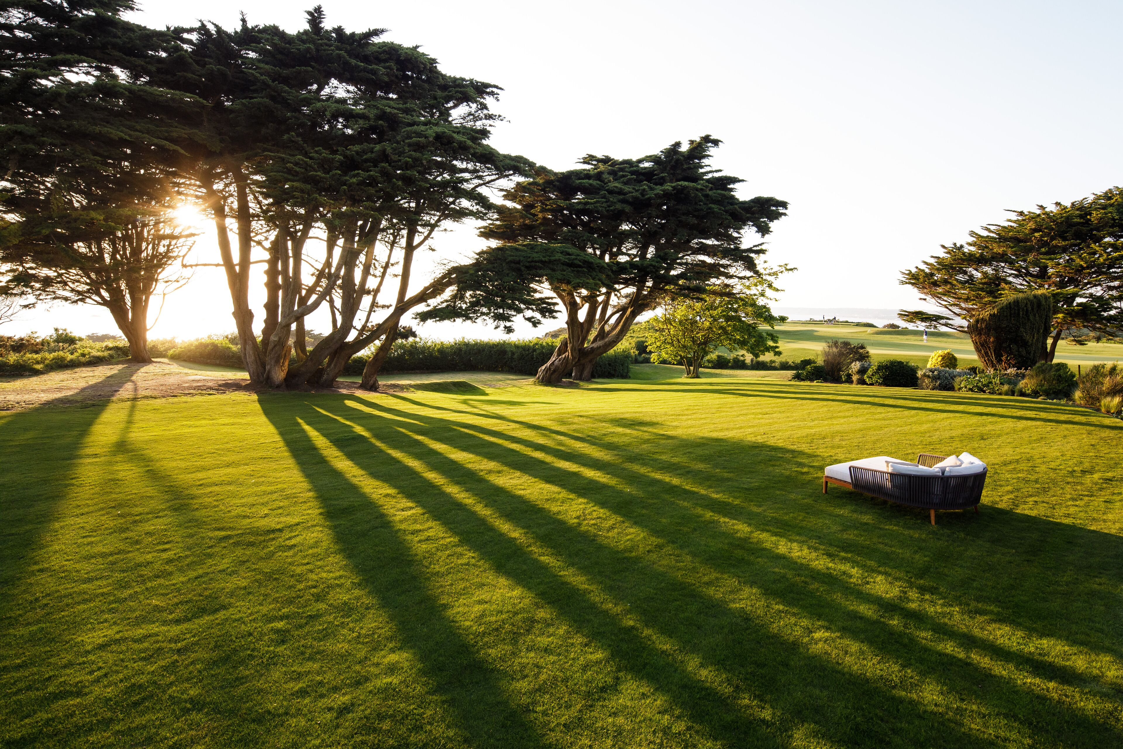 A well-maintained grassy area with a large tree and a bench.