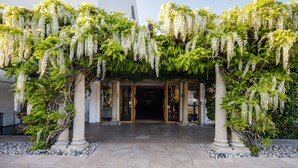 A hotel entrance with a covered walkway, columns, and hanging white flowers.