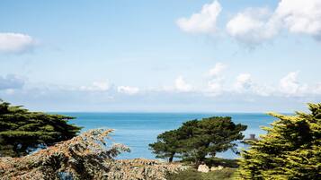 Dubbelrum eller tvåbäddsrum - havsutsikt | Utsikt från rummet