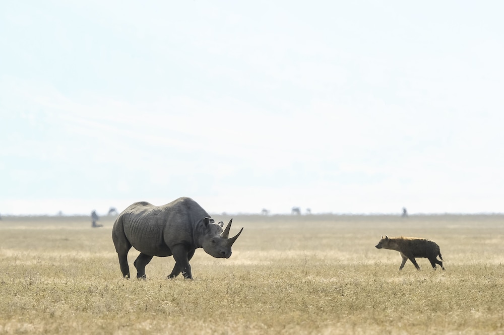 Ngorongoro Serena Safari Lodge by null