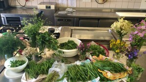 A kitchen counter with various fresh herbs and flowers, likely for culinary use.