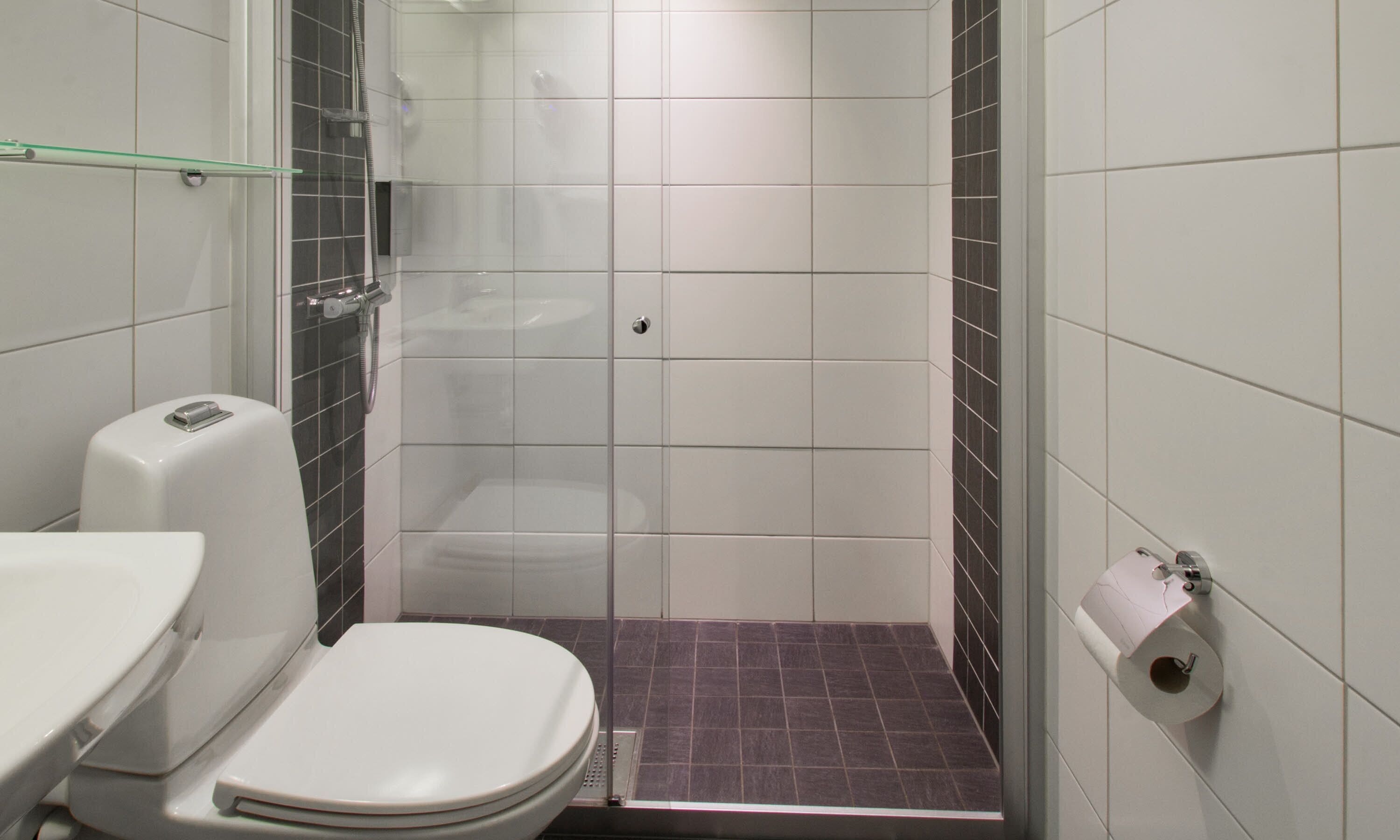Une petite salle de bain moderne, équipée d’une douche, de toilettes et d’un lavabo.