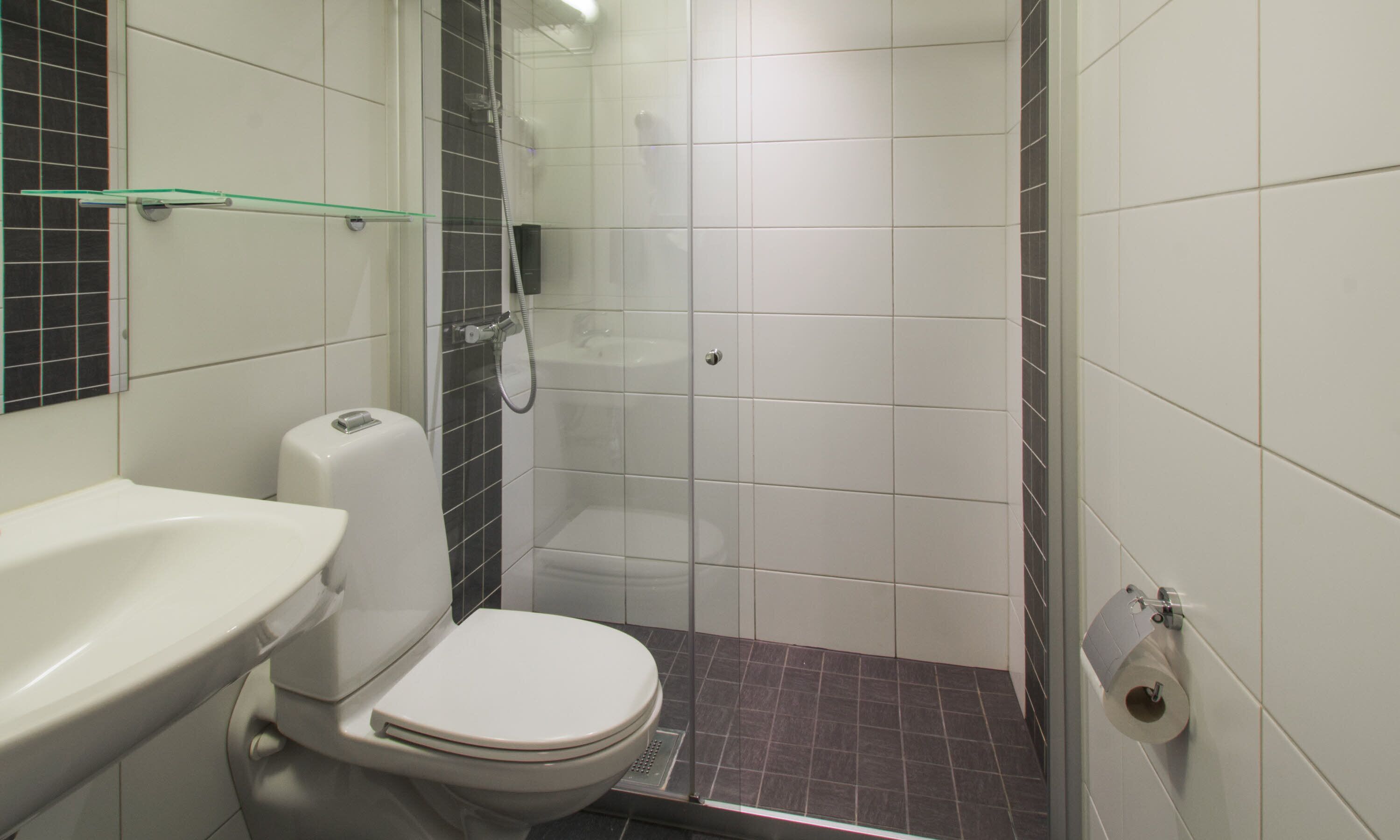 A small, modern bathroom with a toilet, sink, and shower.