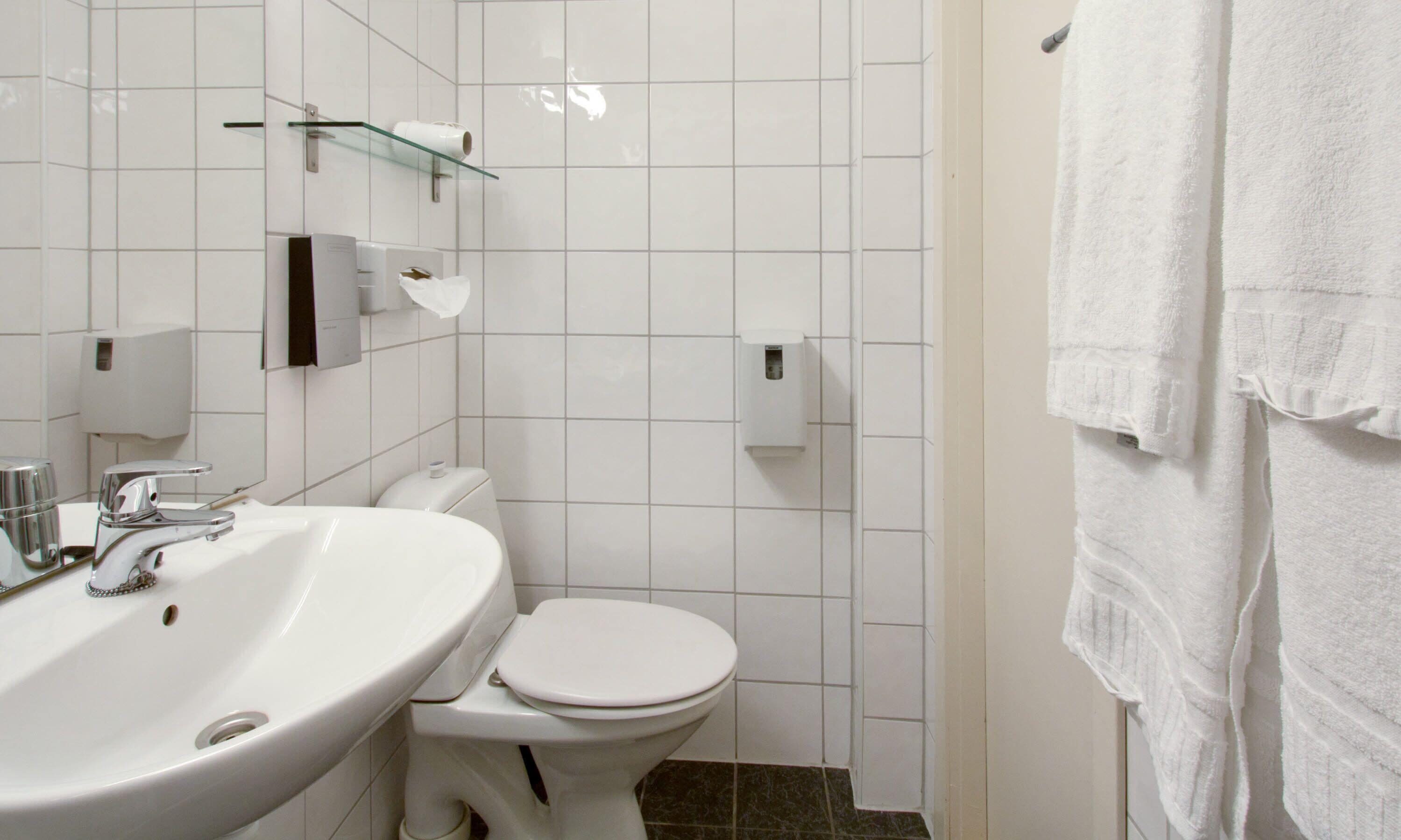 A bathroom with a white sink, toilet, and glass shelf with toiletries.