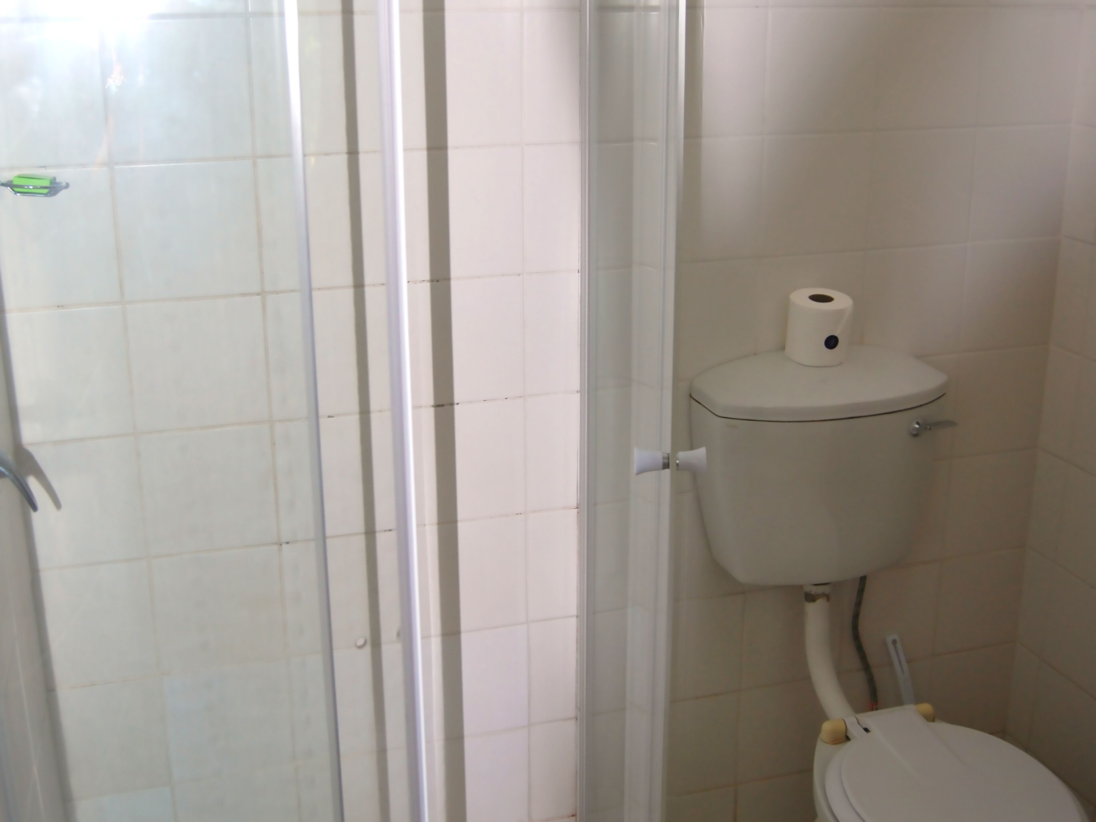 A bathroom with a toilet, a shower enclosure, and a toilet paper holder.