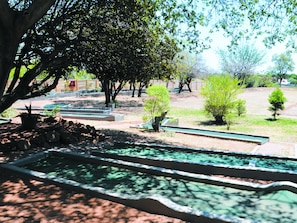 Mini-golf