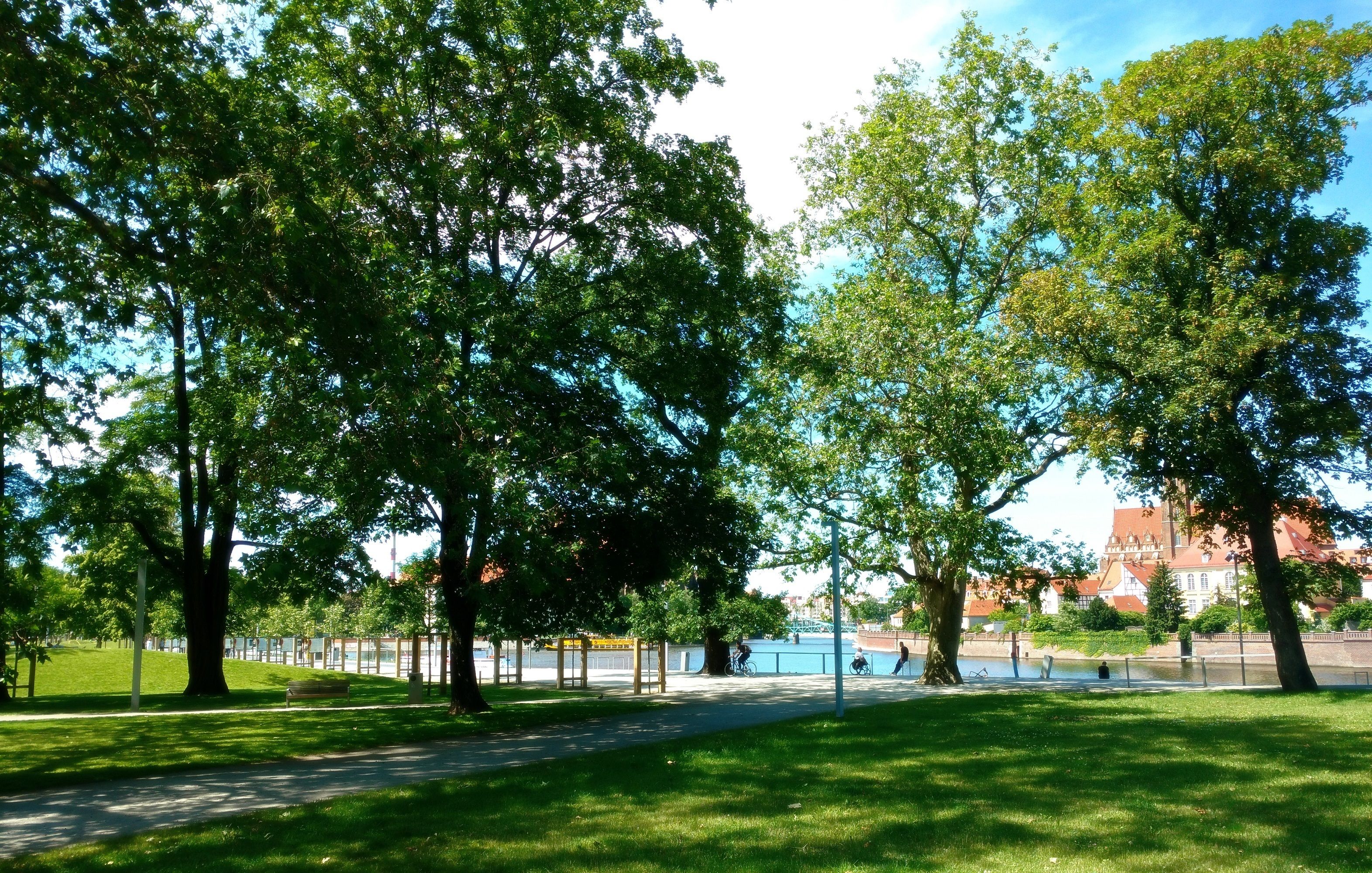 Un parc avec un sentier dallé, des bancs et des arbres.