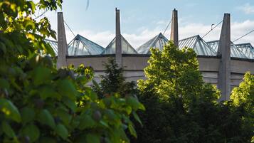 Vista desde la habitación