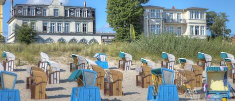 A beach with rows of beach chairs and umbrellas, a large tree, and buildings in the background.