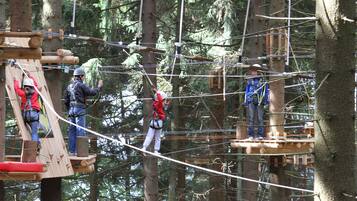Un grupo de personas en un circuito de cuerdas en un bosque.
