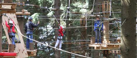 Un groupe de personnes sur un parcours d’accrobranche dans une forêt.