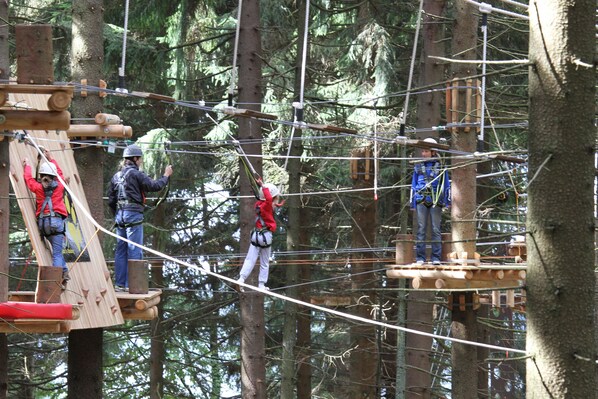 A group of people on a rope course in a forest. - Hotel Gut Schmelmerhof (Sankt Englmar)