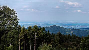 A panoramic view of a mountainous landscape with dense forests and a distant cityscape.