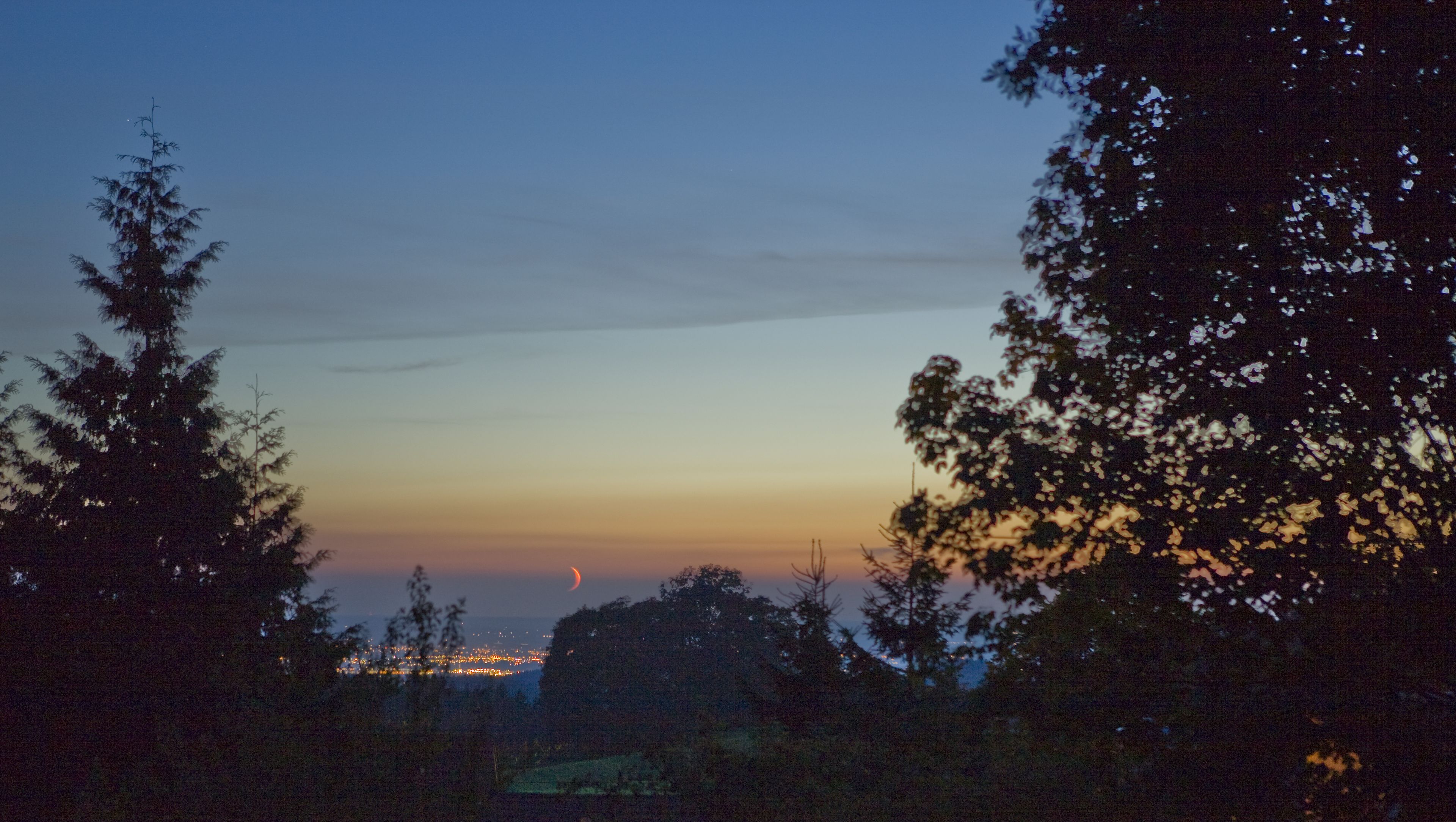 A nighttime view of a cityscape with a crescent moon, surrounded by trees.