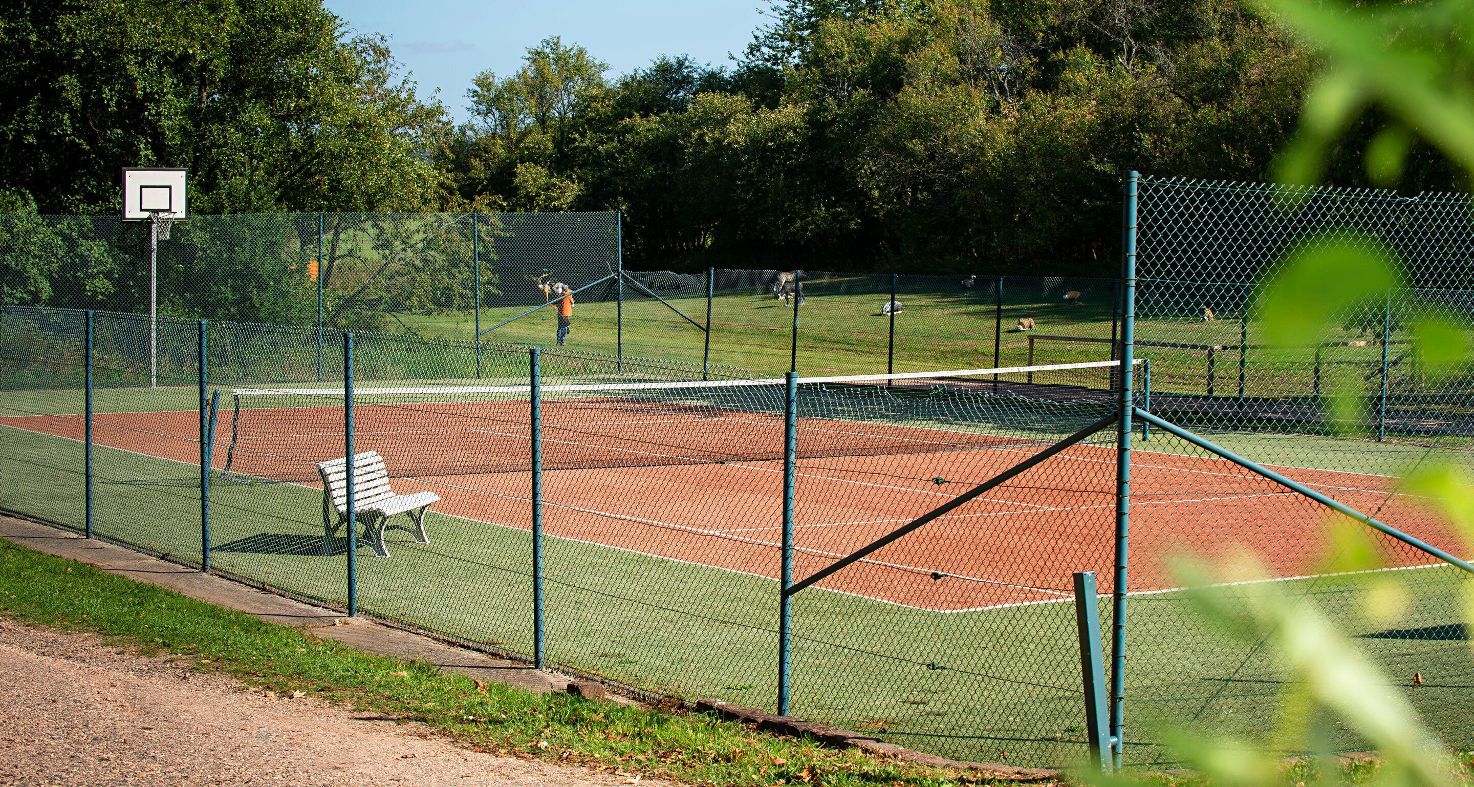 Tennisbane