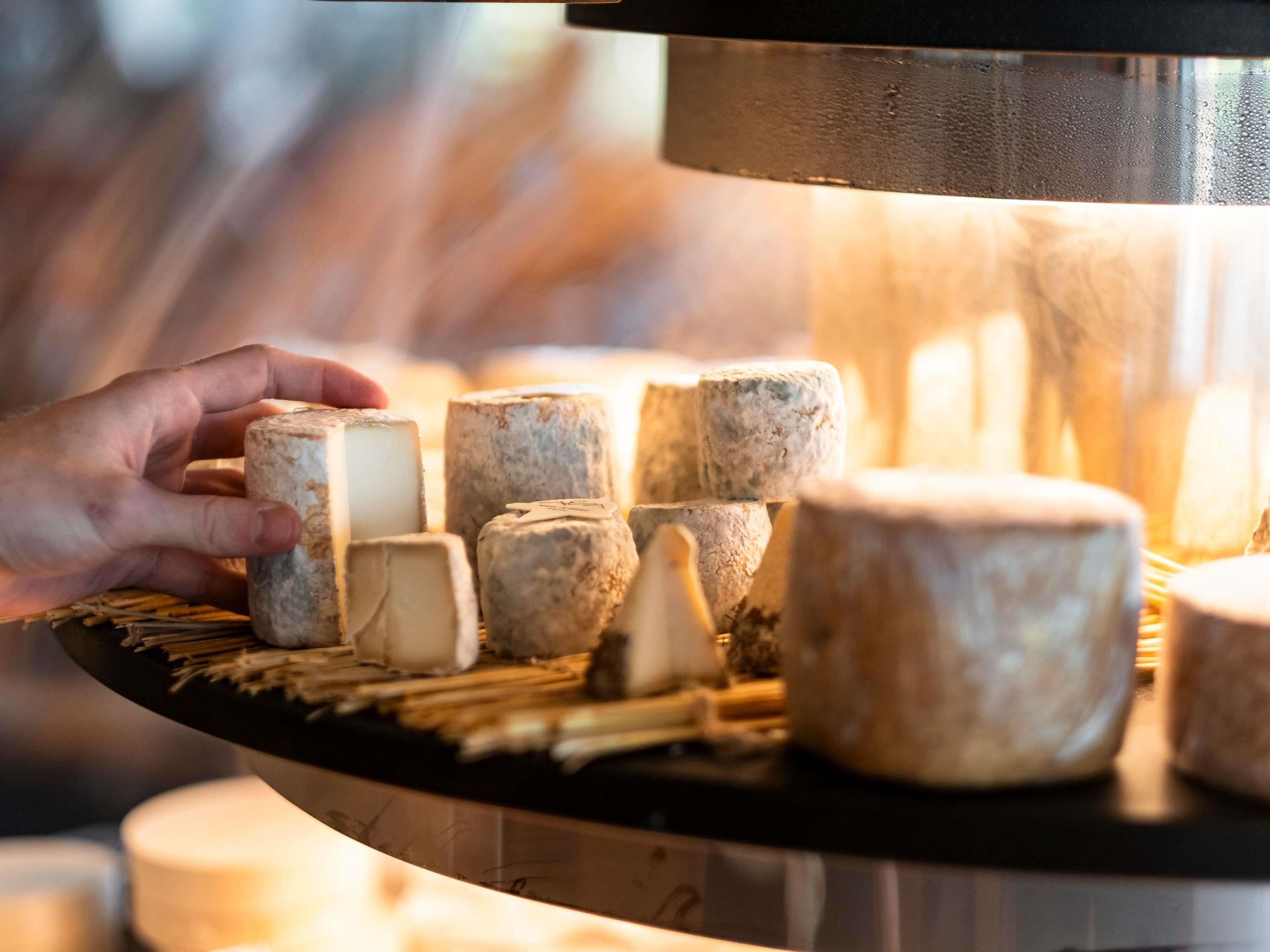 A hand holding a cheese wheel, surrounded by other cheese wheels on a wooden board.