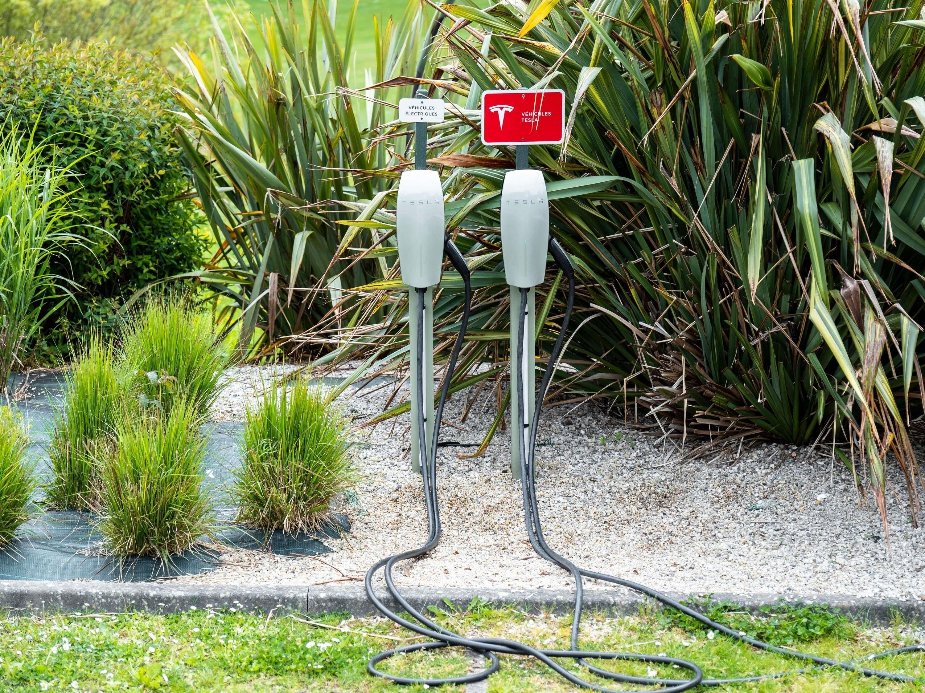 A Tesla charging station with a sign indicating it is for electric vehicles, surrounded by greenery.