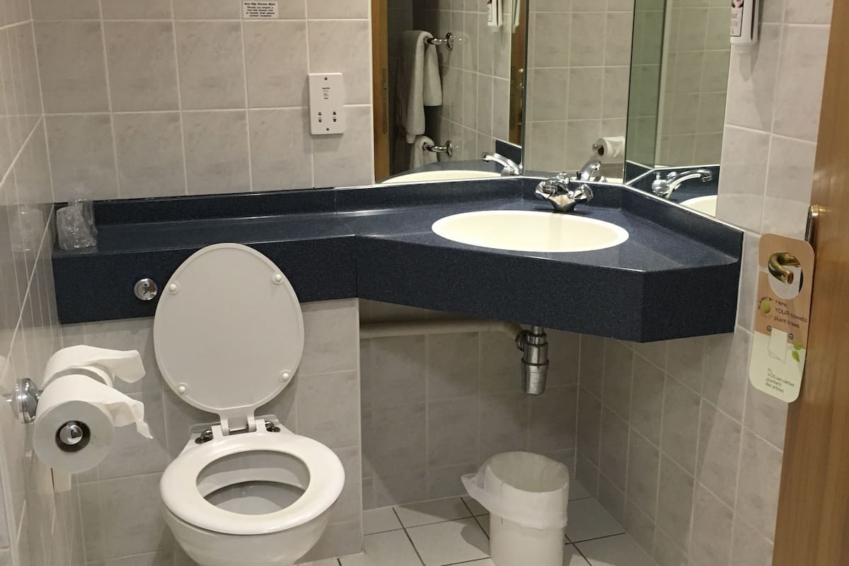 room, 1 double bed | bathroom | shower, eco-friendly toiletries, hair dryer, towels