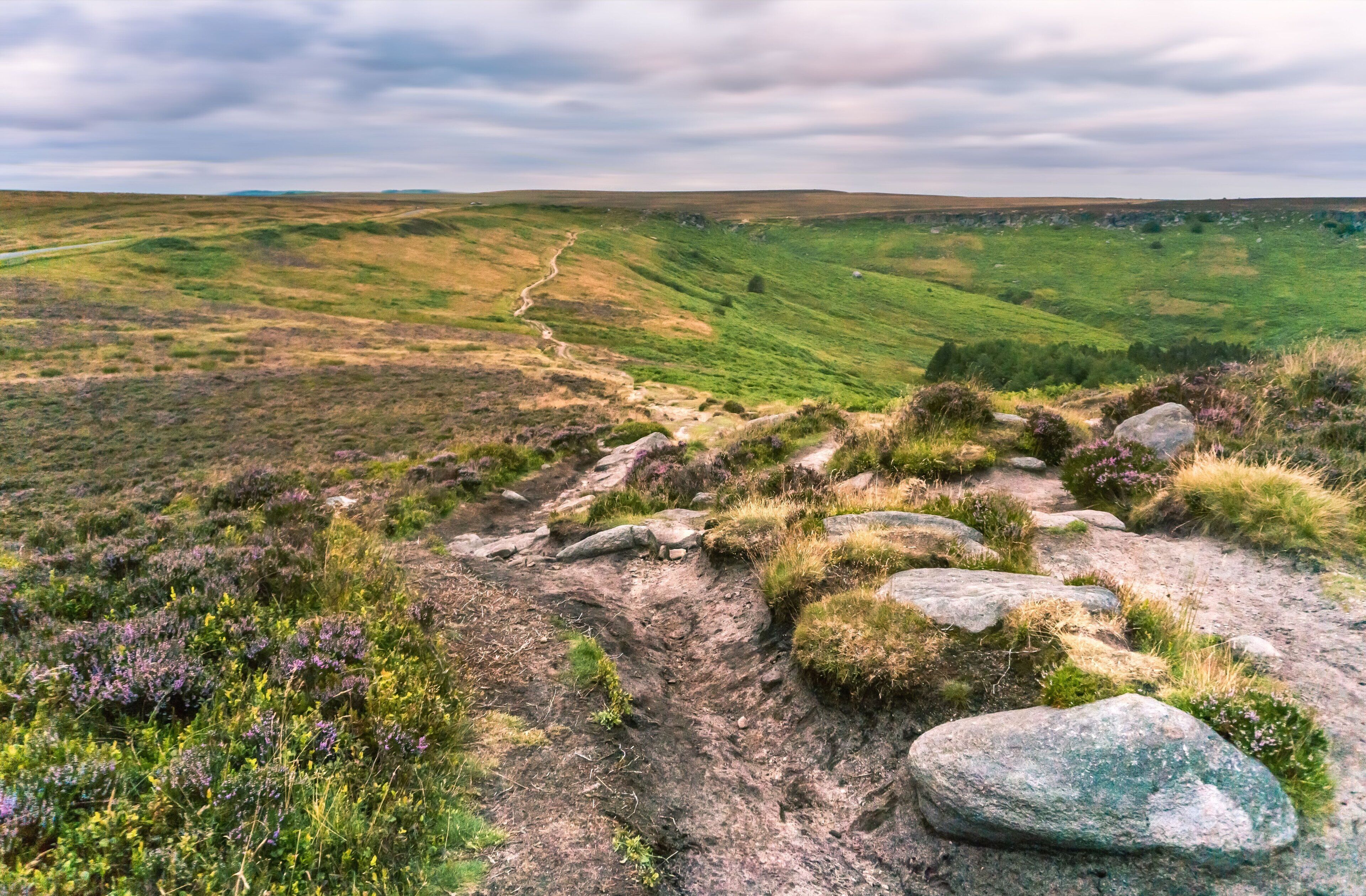 A panoramic view of a hilly landscape with a winding path.
