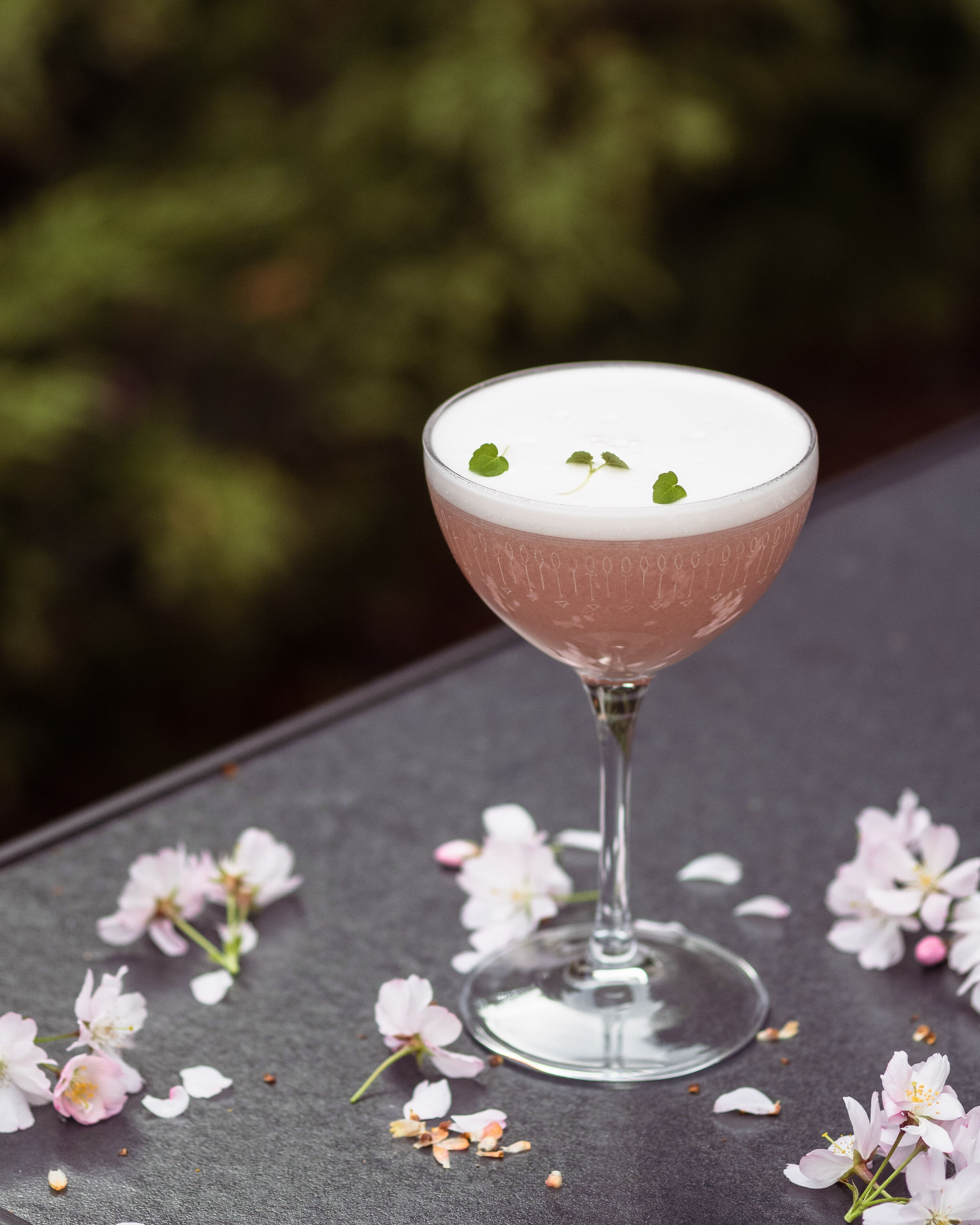 Un cóctel en una copa de martini con espuma, adornado con una hoja de menta, rodeado de flores de cerezo dispersas sobre una superficie oscura.