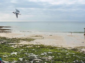 Una playa con una gaviota volando, una torre de salvavidas y una persona en el agua.