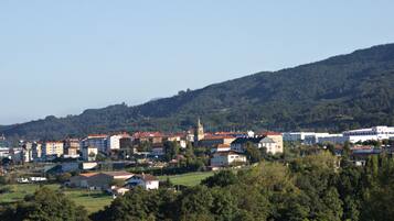 A town with a mix of residential and commercial buildings, a prominent church, and a hill in the background.